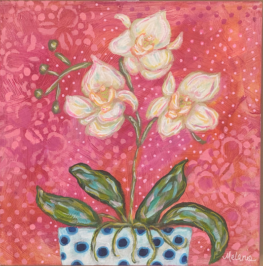 Happy Orchids