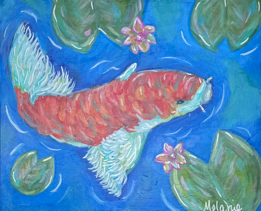 Koi