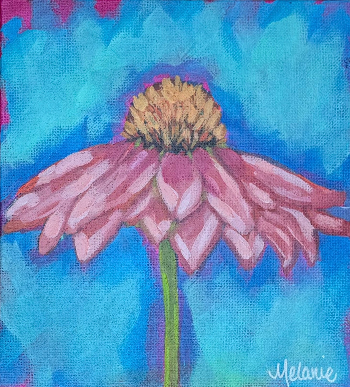 Pretty in Pink